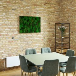 Mosbilleder med mosmix 